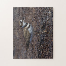 Quebra-cabeça Belo assassino na praia