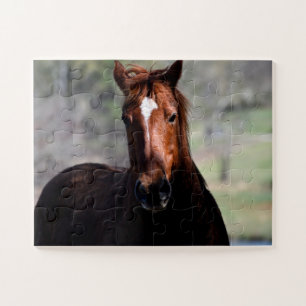 Quebra-cabeça Belo Cavalo