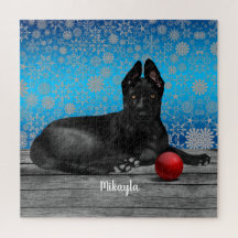 Belo German shepherd