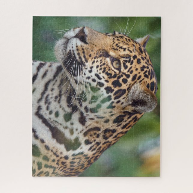 Quebra-cabeça Belo Jaguar na Natureza (Vertical)
