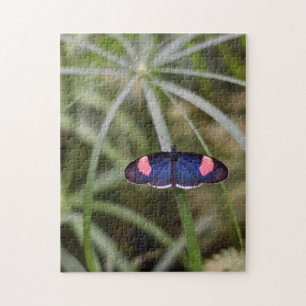 Quebra-cabeça Belo Jardim de Fotografia da Borboleta Azul