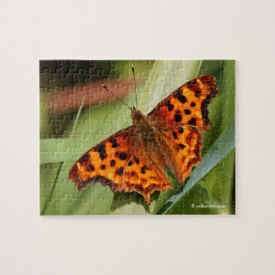 Quebra-cabeça Belo Laranja Satyr Comma Butterfly