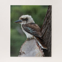 Quebra-cabeça Belo Pássaro Kookaburra Austrália, 520 peças