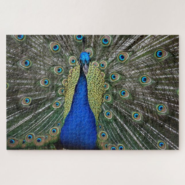 Quebra-cabeça Belo Perfil de Peacock (Horizontal)