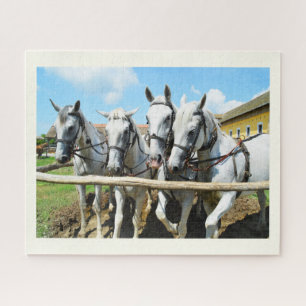 Quebra-cabeça Belos cavalos
