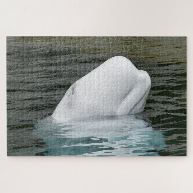 Quebra-cabeça Beluga Whale Alaska (Horizontal)