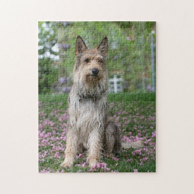 Quebra-cabeça Berger Picard (Vertical)