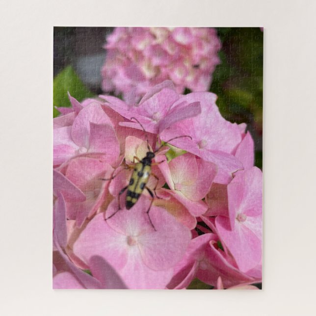 Quebra-cabeça Besouro de chifre longo em Hydrangea rosa (Vertical)