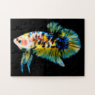 Quebra-cabeça Betta Fish Blue & Dourado