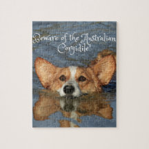 Beware do Corgidile australiano!