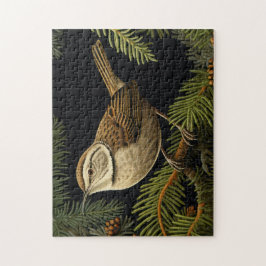 Quebra-cabeça Bewick’s wren on fir branches