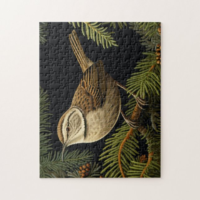 Quebra-cabeça Bewick’s wren on fir branches (Vertical)