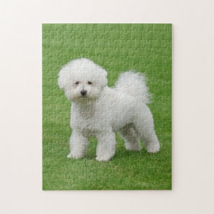 Quebra-cabeça Bichon Frise