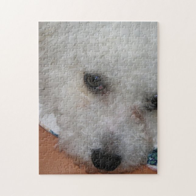 Quebra-cabeça Bichon Frisé.png (Vertical)