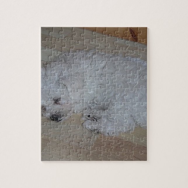 Quebra-cabeça Bichon_Frise_puppy_sleeping (Vertical)