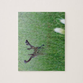 Quebra-cabeça Big Buck In Tall Grass