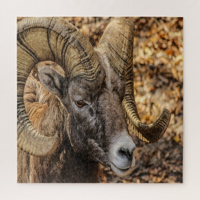 Quebra-cabeça Big Horn Ram (Vertical)