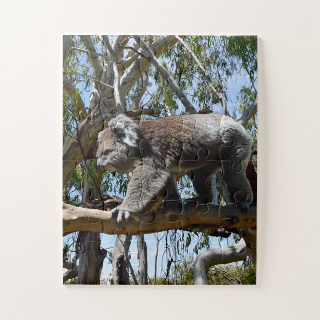 Quebra-cabeça Big Male Australian Koala, (Vertical)