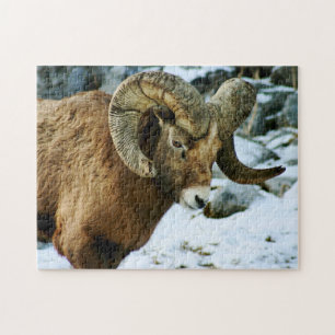 Quebra-cabeça Bighorn Sheep Ram