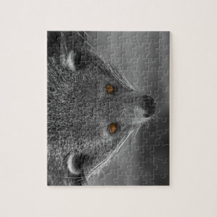 Quebra-cabeça Binturong Olhando Para Você