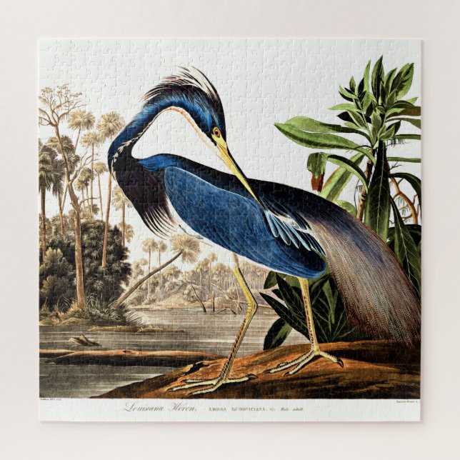Quebra-cabeça Bird - Louisiana Heron por John James Audubon (Vertical)
