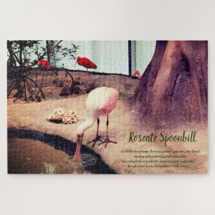 Quebra-cabeça Birds Roseate Spoonbill