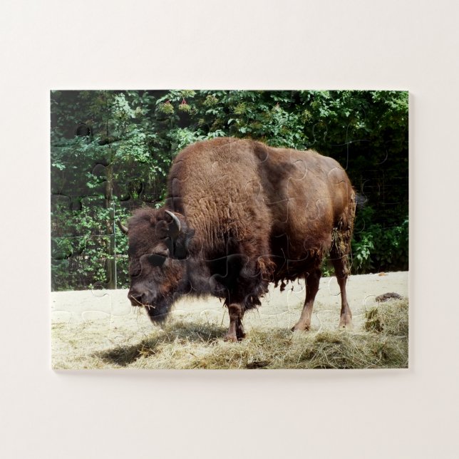 Quebra-cabeça Bisão animal (Horizontal)
