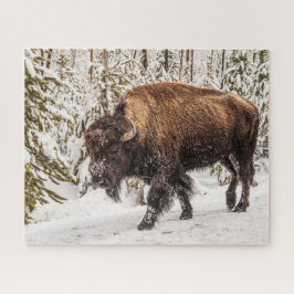 Quebra-cabeça Bison (Bison bison) - Buffalo - Neve - 520 peças