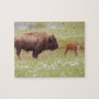 Quebra-cabeça Bison e Calf em Yellowstone