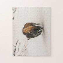 Bison Plodim Através da Neve - 252 peças