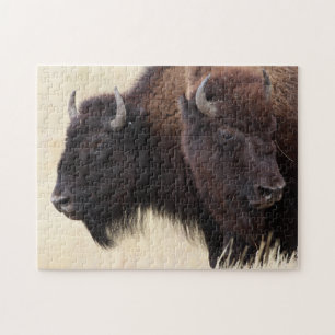 Quebra-cabeça bisonte