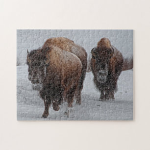 Quebra-cabeça Bisonte de Yellowstone