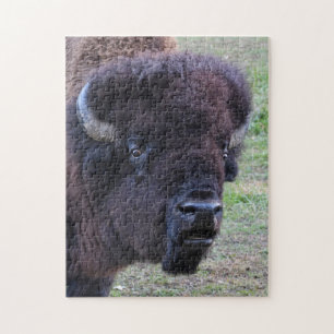 Quebra-cabeça Bisonte dominante de Bull