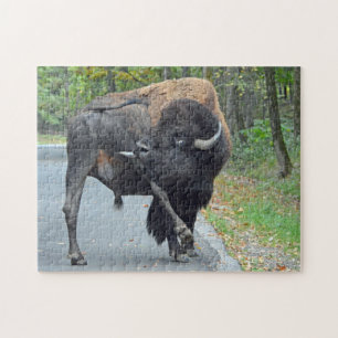 Quebra-cabeça Bisonte engraçado de Bull que lambe seus