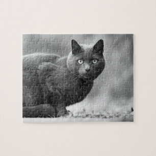 Quebra-cabeça Black and white cat jigsaw puzzle
