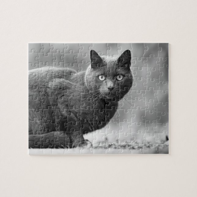 Quebra-cabeça Black and white cat jigsaw puzzle (Horizontal)
