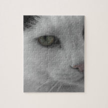 Black and white cats face