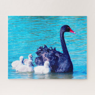 Quebra-cabeça Black Swan com os seus bebês, Jigsaw Quebra-cabe