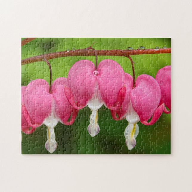 Quebra-cabeça Bleeding Hearts in the Rain Jigsaw Puzzle (Horizontal)