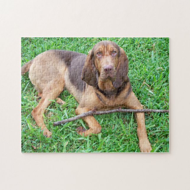 Quebra-cabeça Bloodhound com Stick (Horizontal)