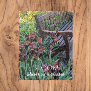 Quebra-cabeça Bloom Onde Você Está Plantado Irrises Floral