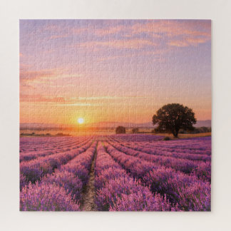 Quebra-cabeça Blooming Lavender Field at Golden Sunset Provence