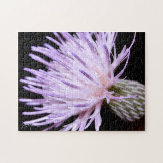 Quebra-cabeça Blooming Nuttall Thistle