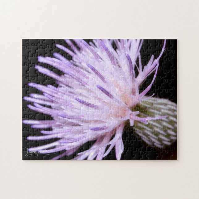 Quebra-cabeça Blooming Nuttall Thistle (Horizontal)