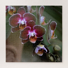 Quebra-cabeça Blossomas das Orquídeas Roxas e Maroon