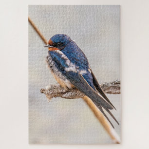 Quebra-cabeça Blue Bird, Barn Swallow, Fotografia canadense