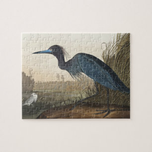 Quebra-cabeça Blue Crane ou Heron de Birds da América