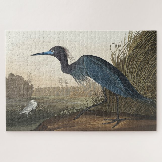 Quebra-cabeça Blue Crane ou Heron from Birds of America (Horizontal)
