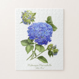 Quebra-cabeça Blue Hydrangeas