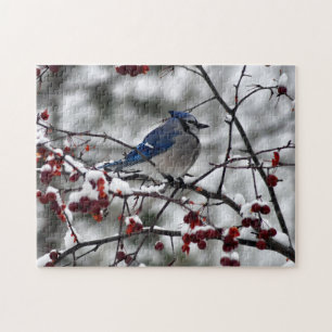 Quebra-cabeça Blue Jay de inverno